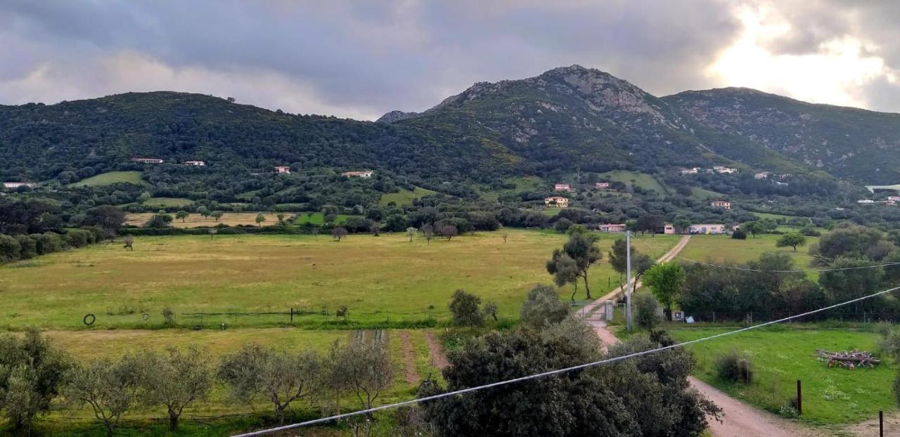Casetta Francy San Teodoro  Εξωτερικό φωτογραφία